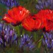 Day 42, Poppies and Lavender